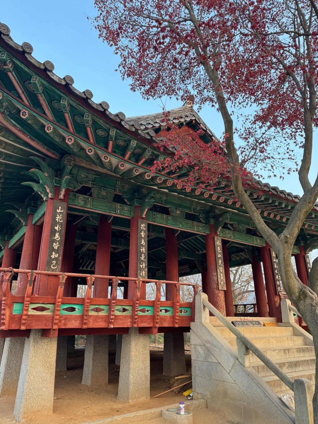 Sunset City Glow🌇 Sunset City Glow🌇