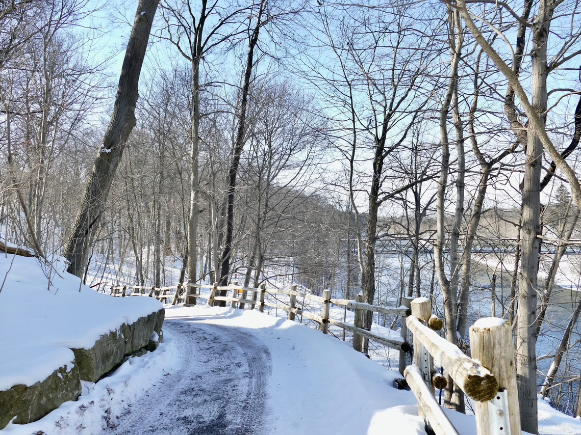 Природный рай в Лондоне: Springbank Park