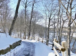 런던 현지인이 사랑하는 Springbank Park
