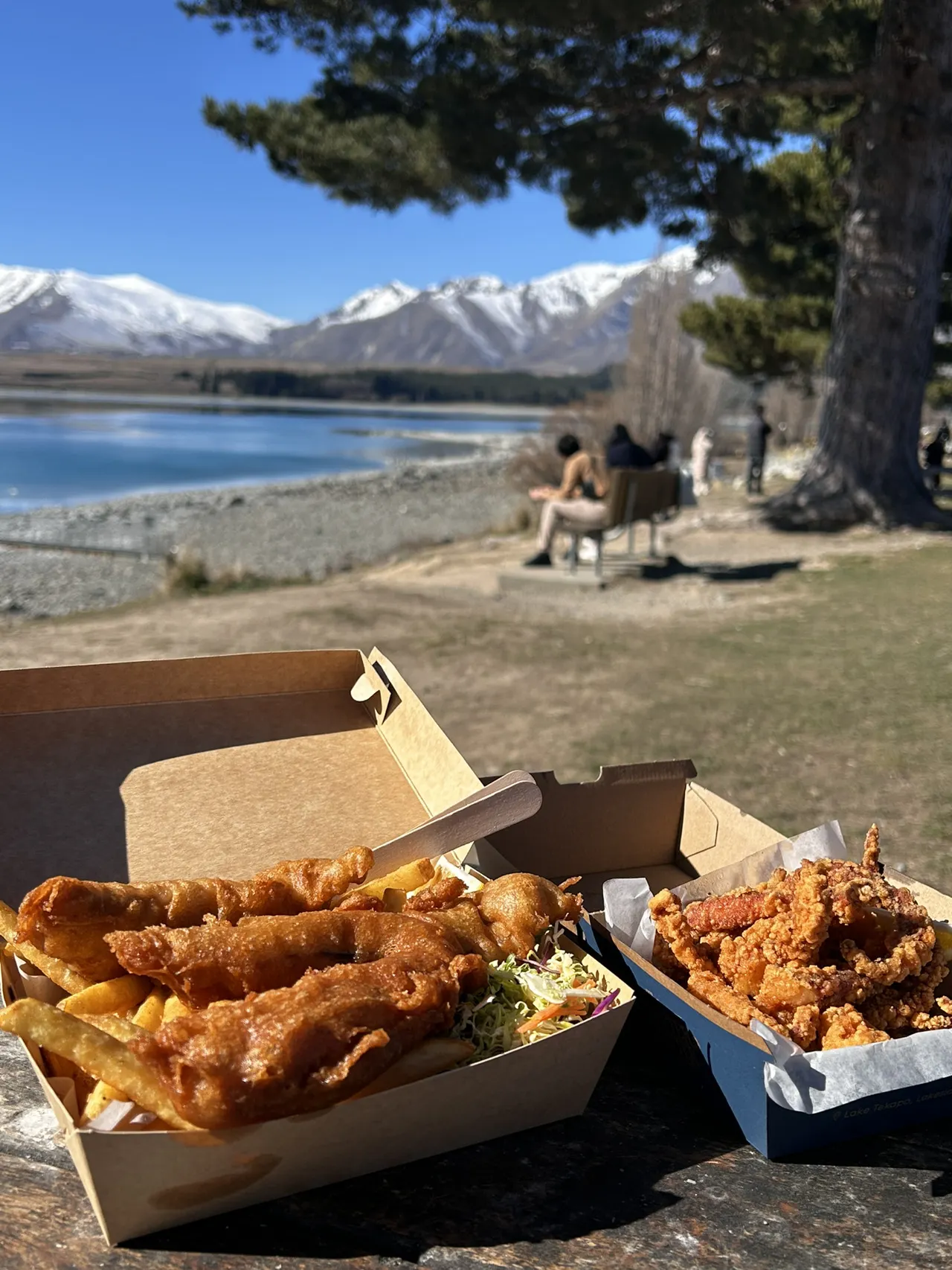 11-Day Itinerary in New Zealand's South Island! Transportation Guide (No Self-Drive)!