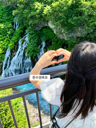 夏季美瑛之旅💚 北海道最真實的自然風光！