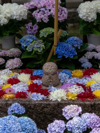 일본 최초의 액막이 영장으로 알려진 '오카데라'
