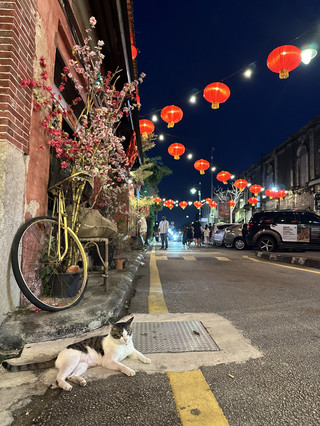 George Town: A Vibrant Melting Pot of Street Art, Heritage, and World-Class Food 🇲🇾🎨🏛️