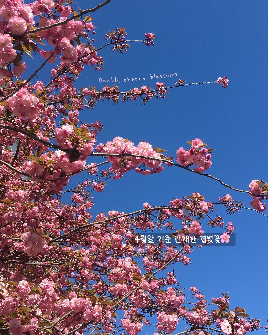 這個價格可以在歐洲玩一天嗎？
