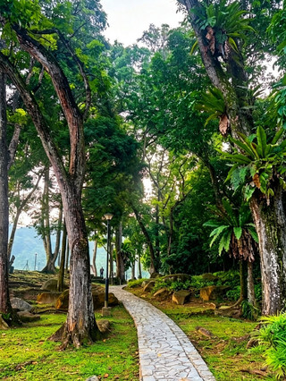 A Magical Evening at Bukit Batok Town Park