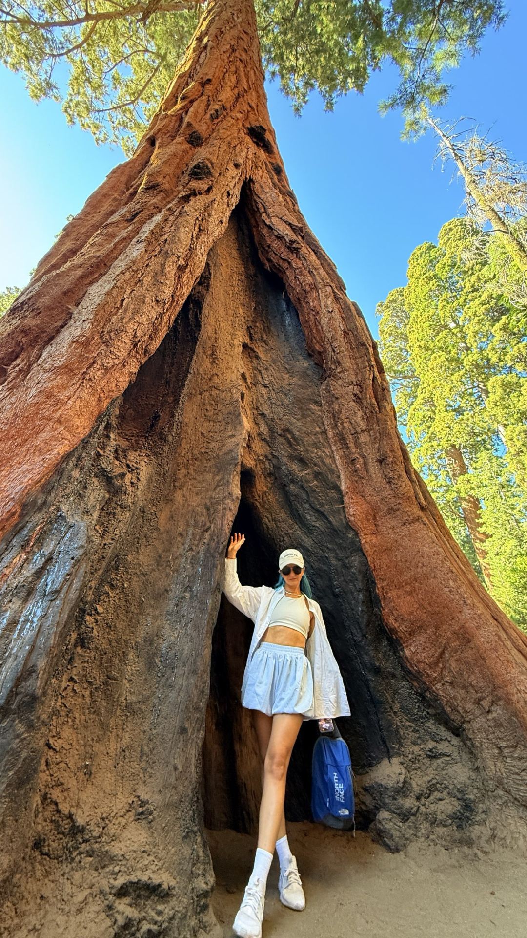 Sequoia National Park: Why You Shouldn't Limit Your Visit to General Sherman 🌲