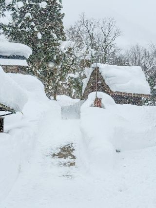 ❄️🏔️ 4 Captivating Perspectives of Ainokura You'll Fall in Love With