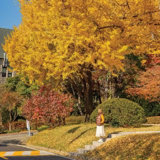 The Most Stunning Autumn Foliage Spot in Seoul: Ewha Womans University.