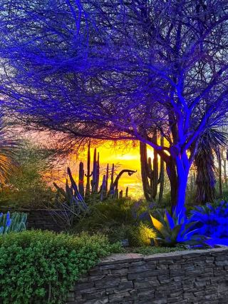 A Different Kind of Autumn in the Desert 🌵🍂