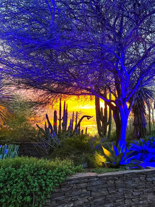 A Different Kind of Autumn in the Desert 🌵🍂