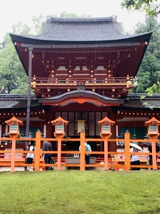 🦌A must-visit in Nara! Kasuga Taisha Shrine, a World Heritage Site with beautiful sacred deer and a 1300-year-old forest.