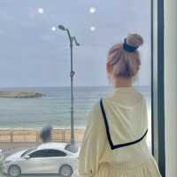 속초버스터미널 근처에서 오션뷰 카페를 즐기고 싶다면? 🌊☕️
