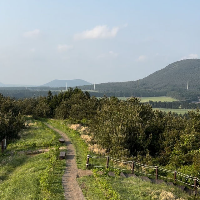 제주여행🏝️ 다섯번째 오름, 왕초보자도 오를 수 있는 아부오름🌳