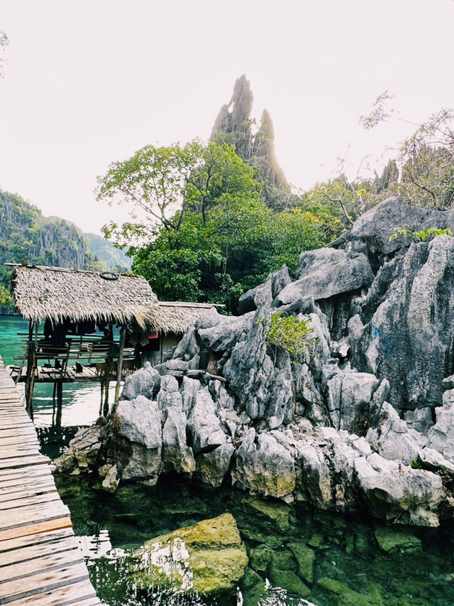 🌊 Coron Palawan Kayangan Lake where 🏞️ Avatar Meets Atlantis