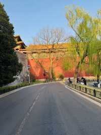 Evening Stroll Around the Palace Museum