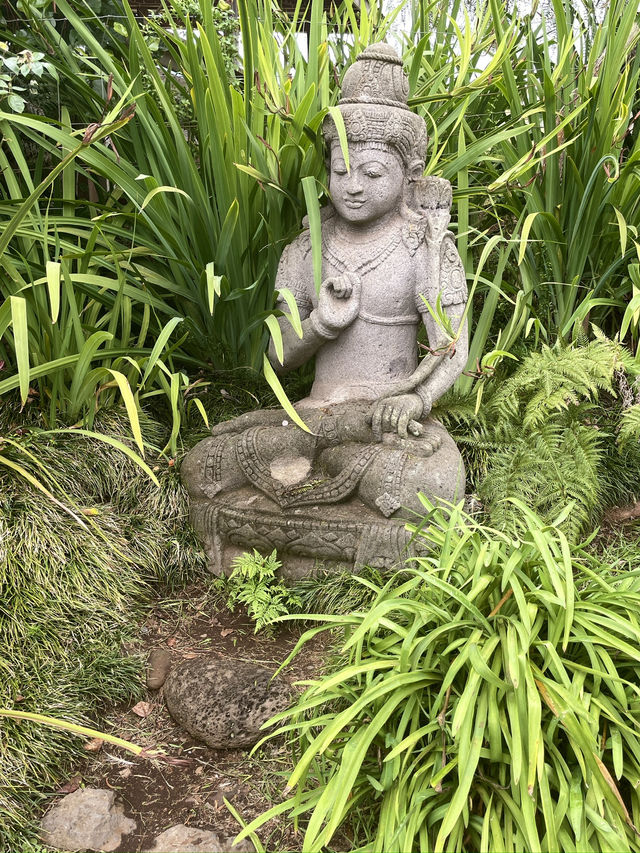 Discover the Serenity of Ali‘i Kula Lavender Farm – Maui’s Hidden Gem