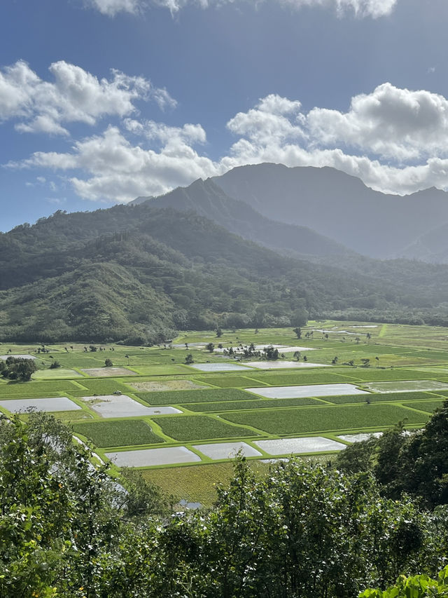 夏威夷可愛島｜一島濃縮的自然與童話