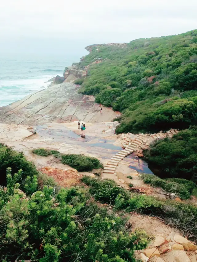 Royal National Park海岸線自駕一日遊  