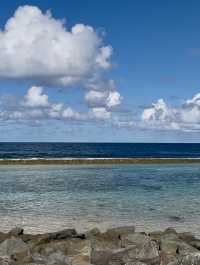 Tropical Dreamscape🌴