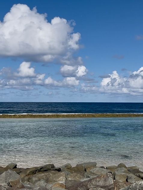 Tropical Dreamscape🌴