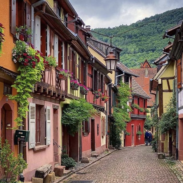 timeless alsage 🇫🇷 