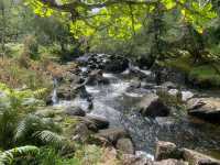 Very nice Killarney National Park 🗺️