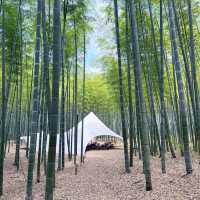 The four seasons bamboo farm