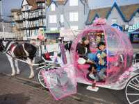 Blackpool 黑池：小孩心花怒放的親子遊