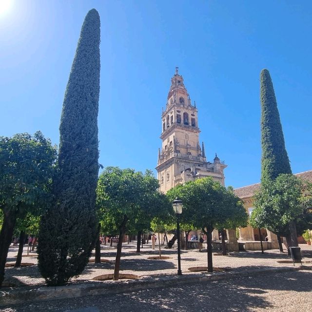 Discovering the Mezquita in Cordoba