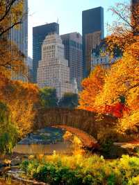 New York: The City That Never Sleeps
