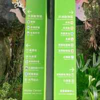 《臺北市立動物園》🐼熊貓熱🐼園區極大一天都行不完🦁