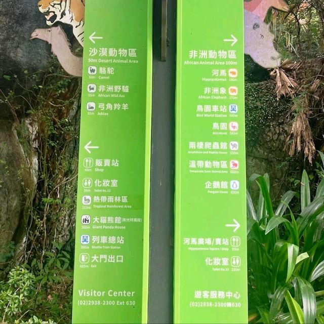 《臺北市立動物園》🐼熊貓熱🐼園區極大一天都行不完🦁