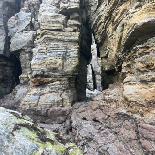 Scarborough cliffs 