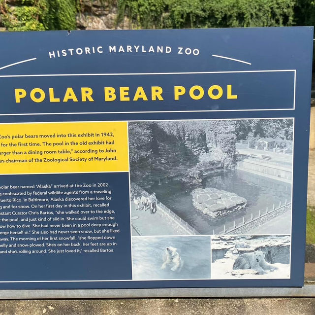 The Maryland Zoo in Baltimore 🇺🇸