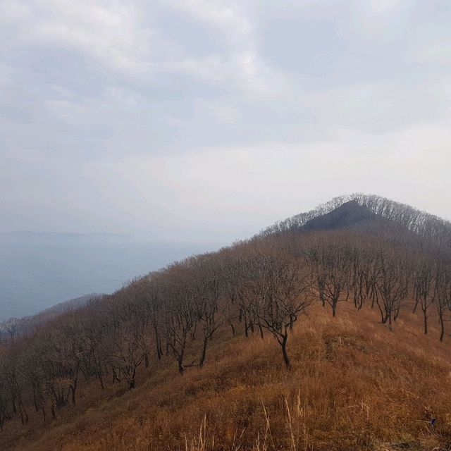🍂 Views of Popova Bay in Nakhodka 🍂