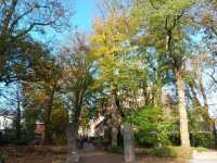 เที่ยวฤดูใบไม้เปลี่ยนสีที่ Den Bosch