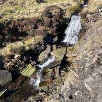 The beauty of the moors 