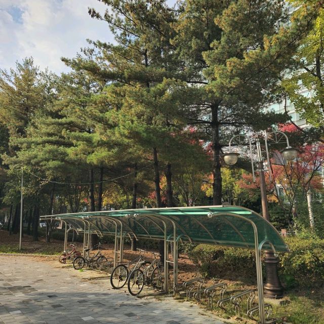 국내여행 대전 둔산동에 위치한 작고 예쁜 공원인 씨애틀공원