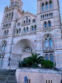 A Perfect Family Day Out at the Natural History Museum, London 
