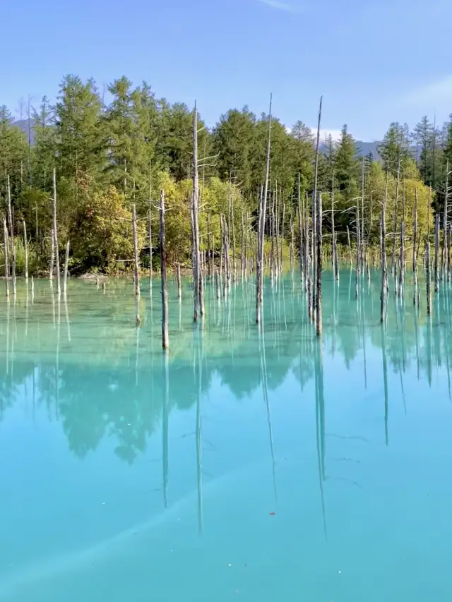 【北海道】在日本北方大地北海道，體驗四季絕景