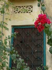 Exploring Udaipur: A City of Lakes and Palaces
