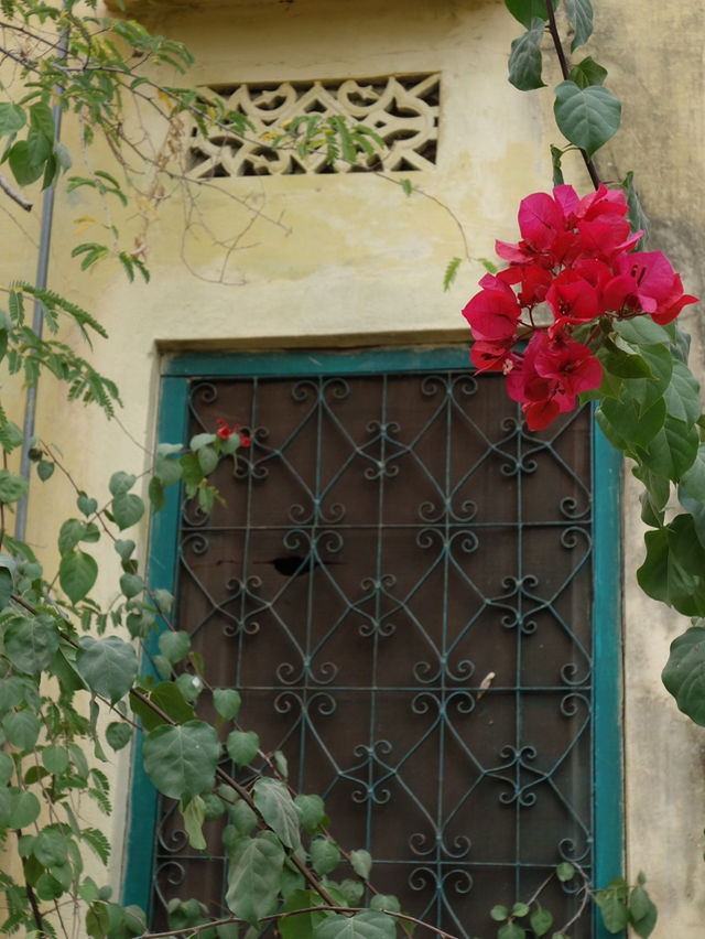 Exploring Udaipur: A City of Lakes and Palaces
