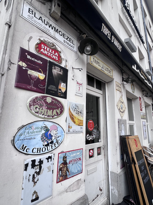ベルギーに行くべき5つの理由🇧🇪✈️🌎