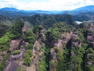 Palm Mountain