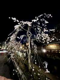 Beautiful Kyoto
