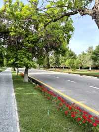 Spring Stroll at Park - Im. Amira Temura in Samarkand