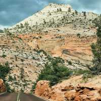 🏞️ Zion National Park: Nature’s Red Rock Playground