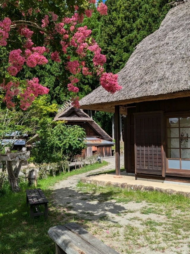 Where to Stay near Lake Kawaguchiko