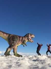 🌌 ウユニ塩湖（Uyuni Salt Flats）人生で一度は見たい絶景！