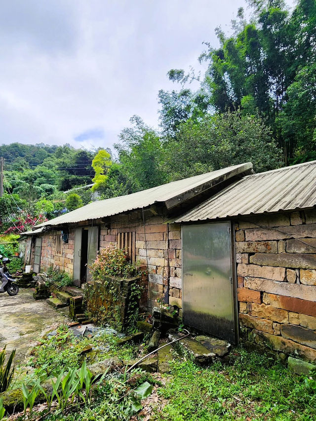 走讀姜子寮聚落及森林療癒步道～絕壁步道